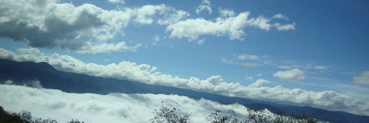 LindaCobosM's profile banner image