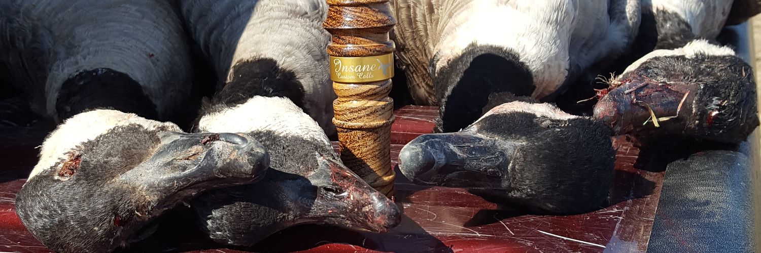 FOWLHITS's profile banner image