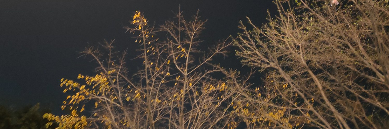 Penny_fancy's profile banner image