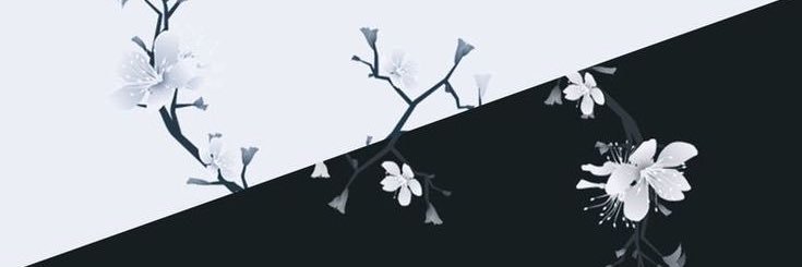 RCichon13's profile banner image