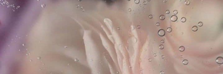 shlainesondrini's profile banner image