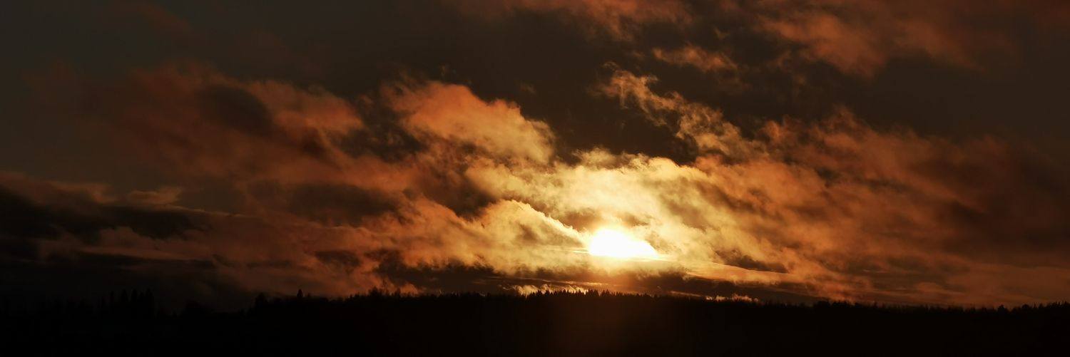 Ssisilisko's profile banner image