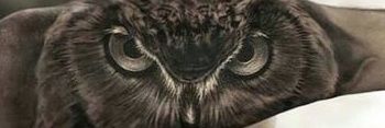 PimPam93's profile banner image