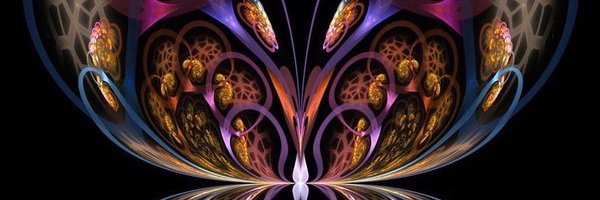 cacauina's profile banner image