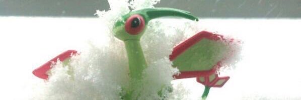 ZonePiko's profile banner image