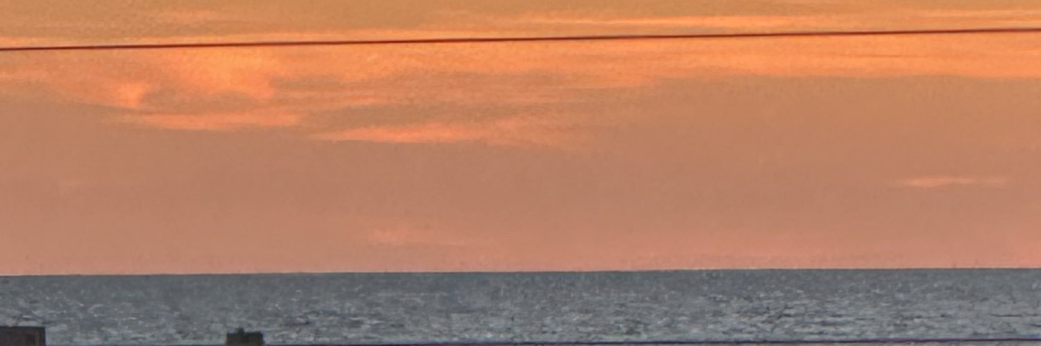 Holly Eisel Everson banner