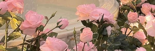 sandra__blossom's profile banner image