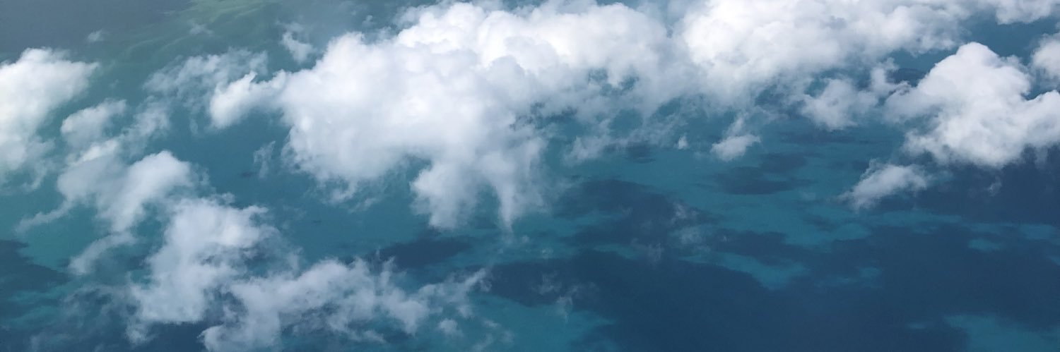 Lmariestark's profile banner image