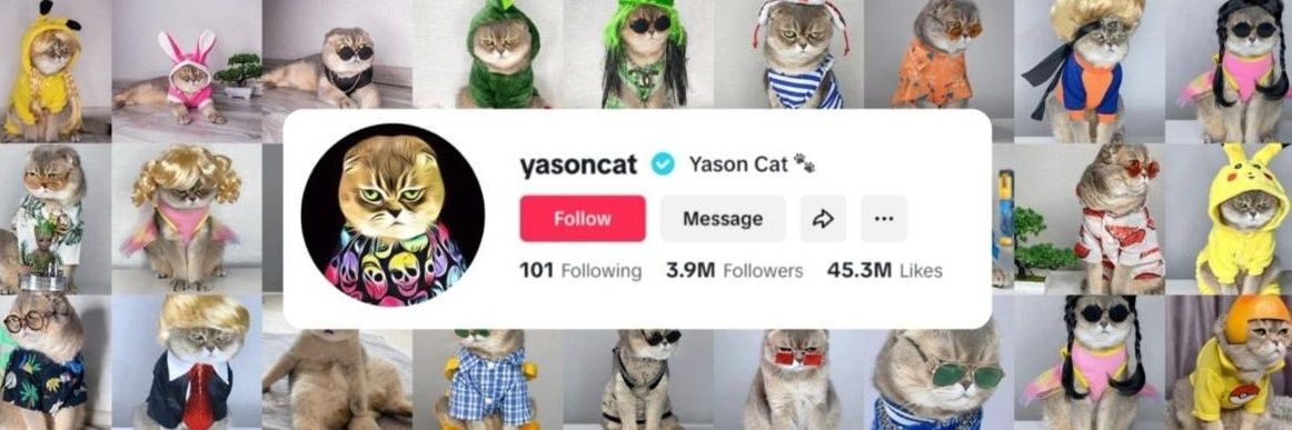 YasonCat's profile banner image