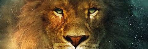 SR_Dyal's profile banner image