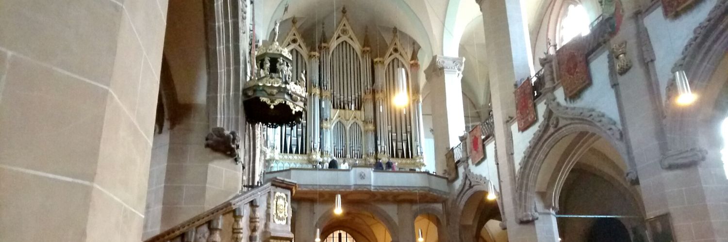 きゅーぴー banner