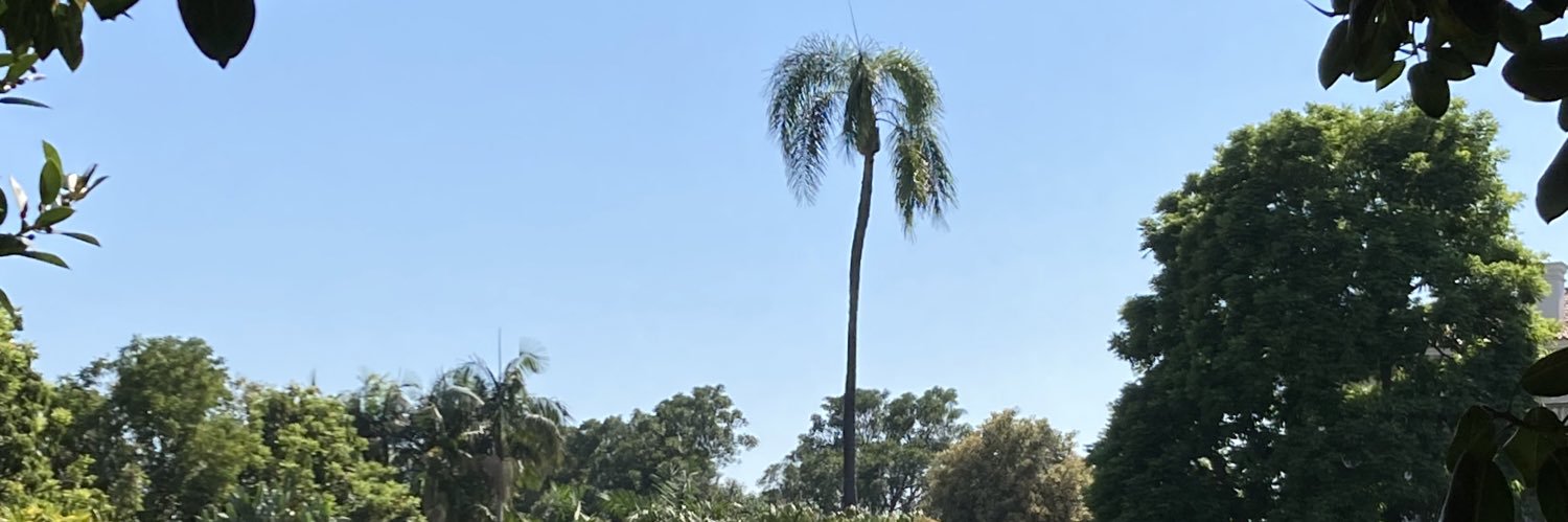 djatumich's profile banner image