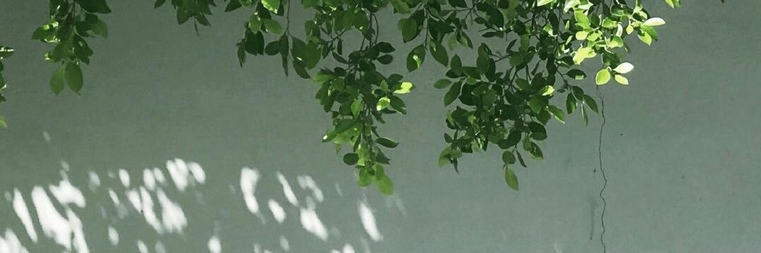 Belennfer's profile banner image