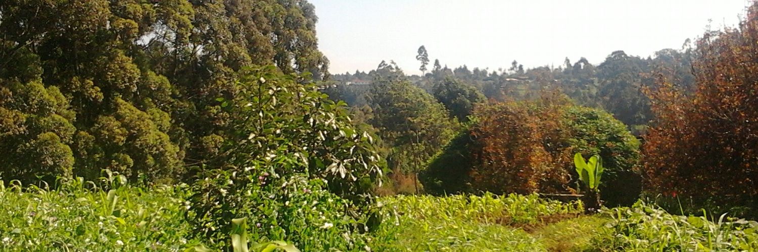 NhezronM's profile banner image