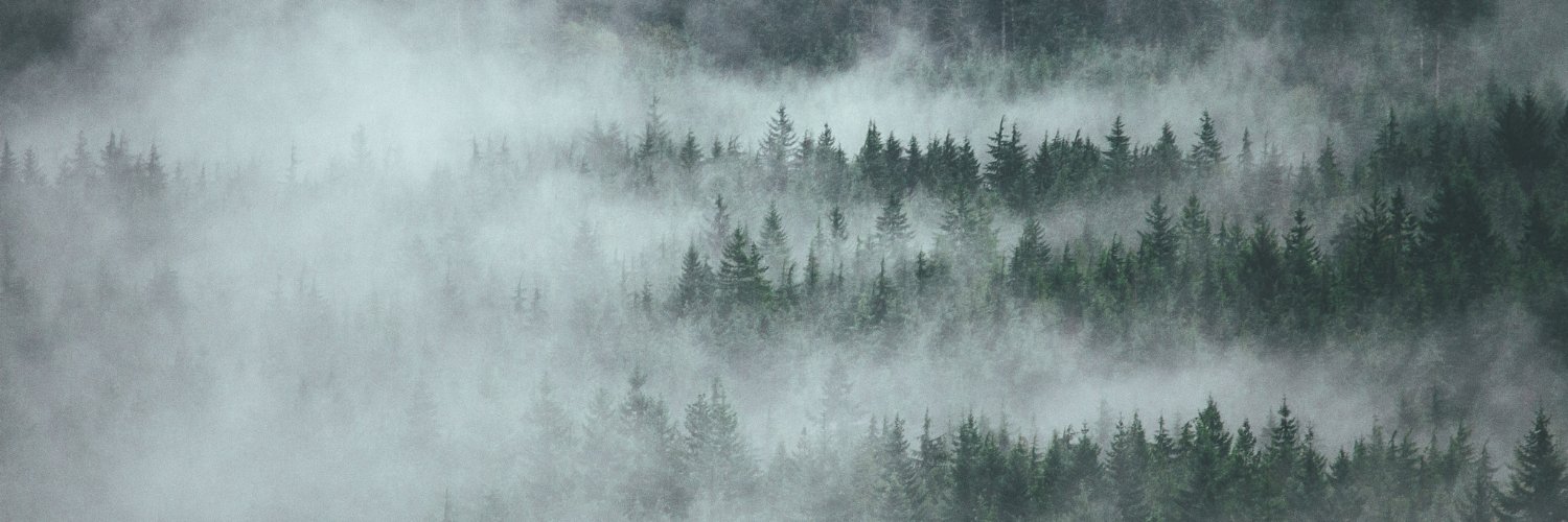 softertides's profile banner image