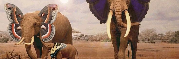 fandelabirra's profile banner image