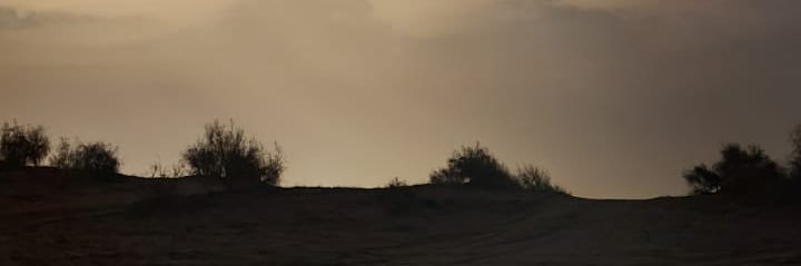 daymaziz's profile banner image