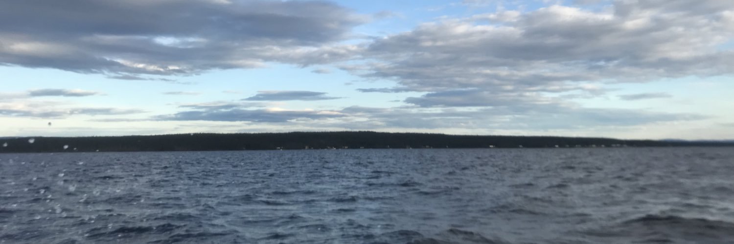 cschiasson's profile banner image