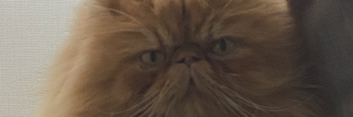 ogarzon70's profile banner image