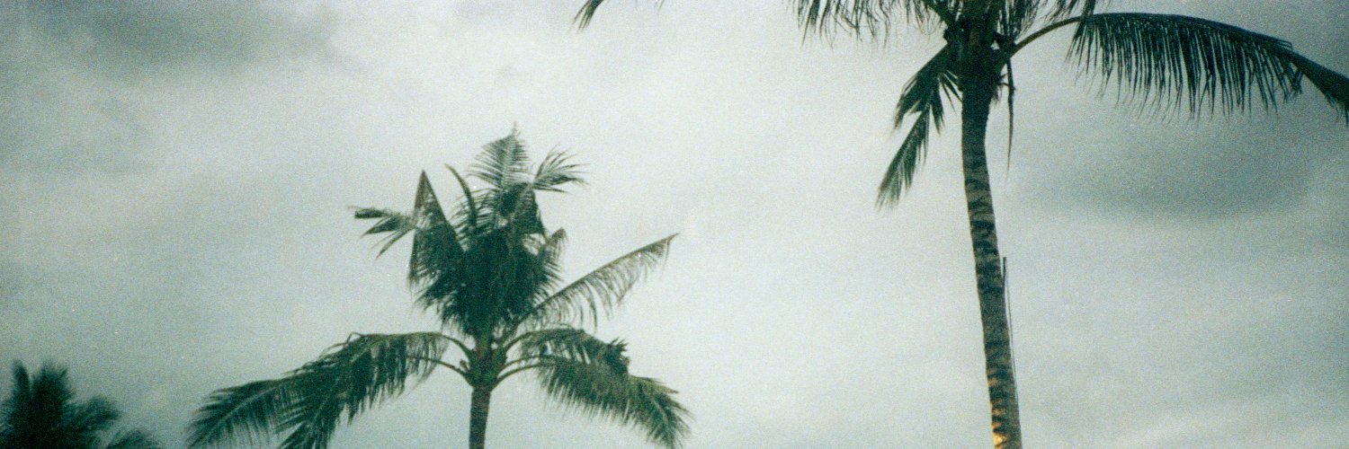 Shamillustrates's profile banner image