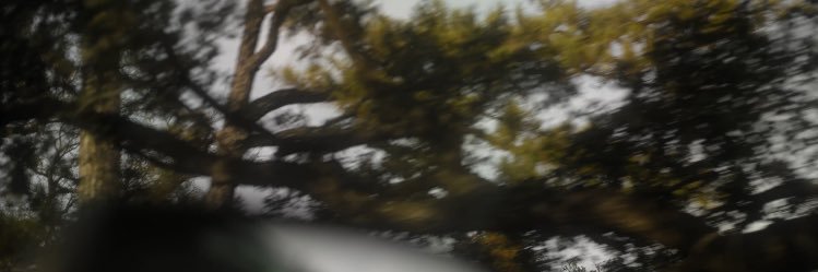 spunzee7's profile banner image