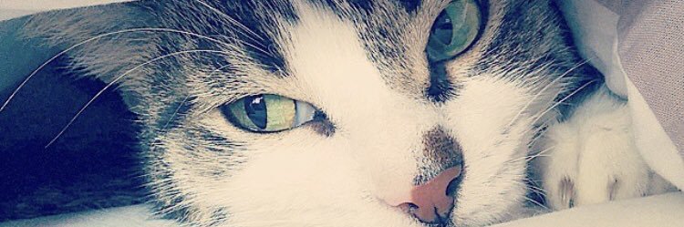 Fiona_her's profile banner image