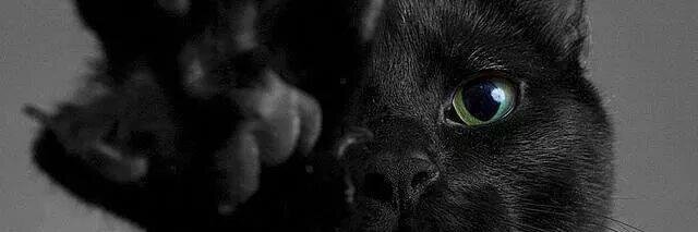 Yitapapafrita's profile banner image