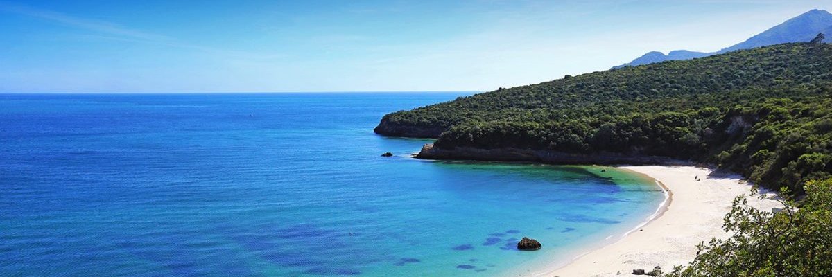 Deeztant's profile banner image