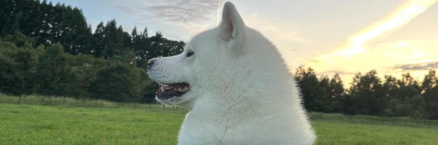 pott568's profile banner image
