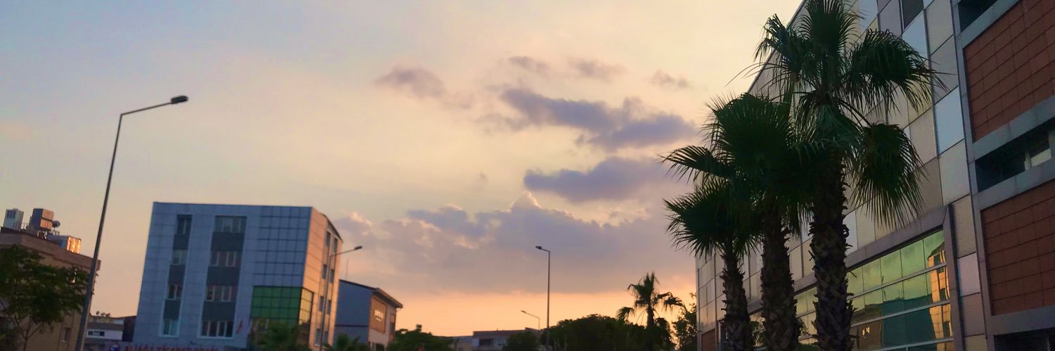 dileydileydiley's profile banner image