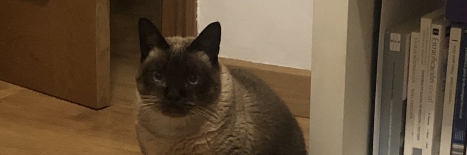FcoGavilanP's profile banner image