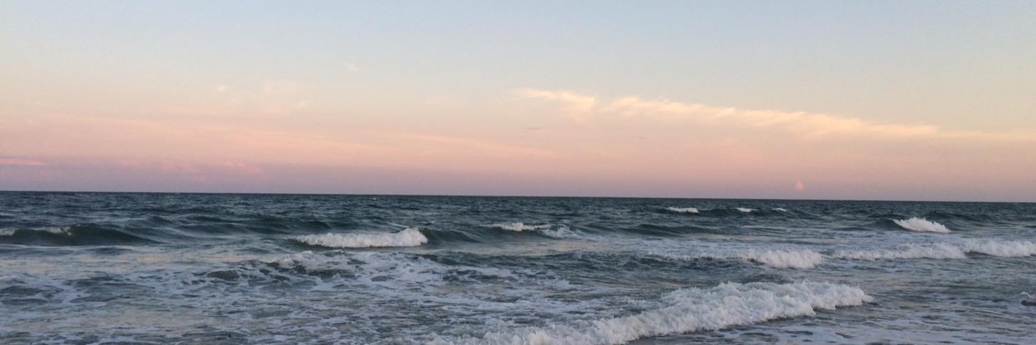 LeslieJBarrett's profile banner image