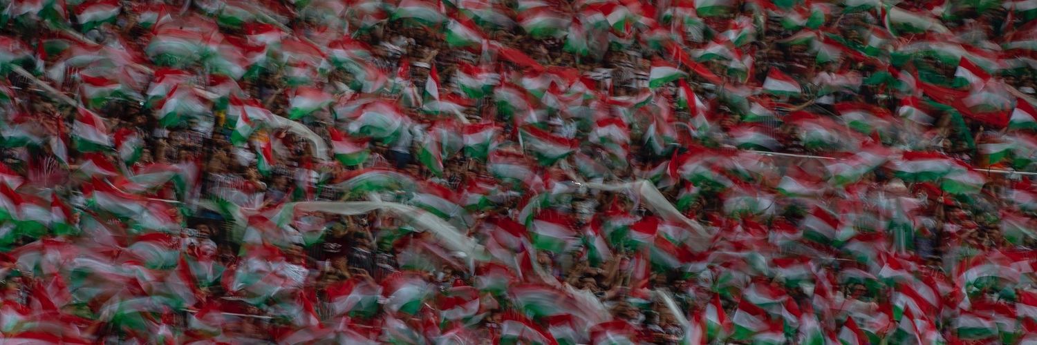 LucNewman's profile banner image