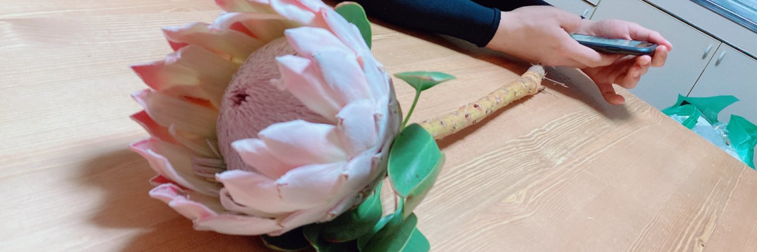 Hitomi199674's profile banner image