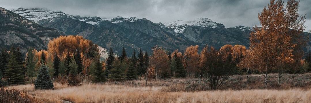 _clarebear25's profile banner image