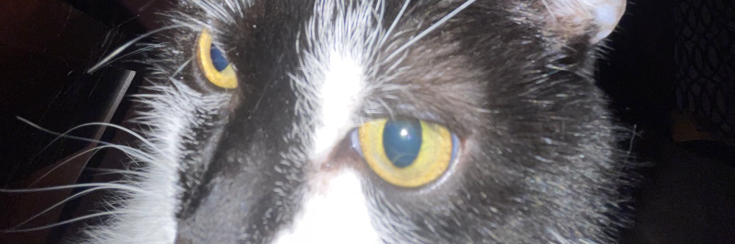 abbbaefy's profile banner image