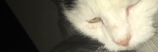 JamesMcGee12's profile banner image