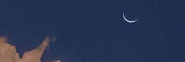 Carolxd883's profile banner image