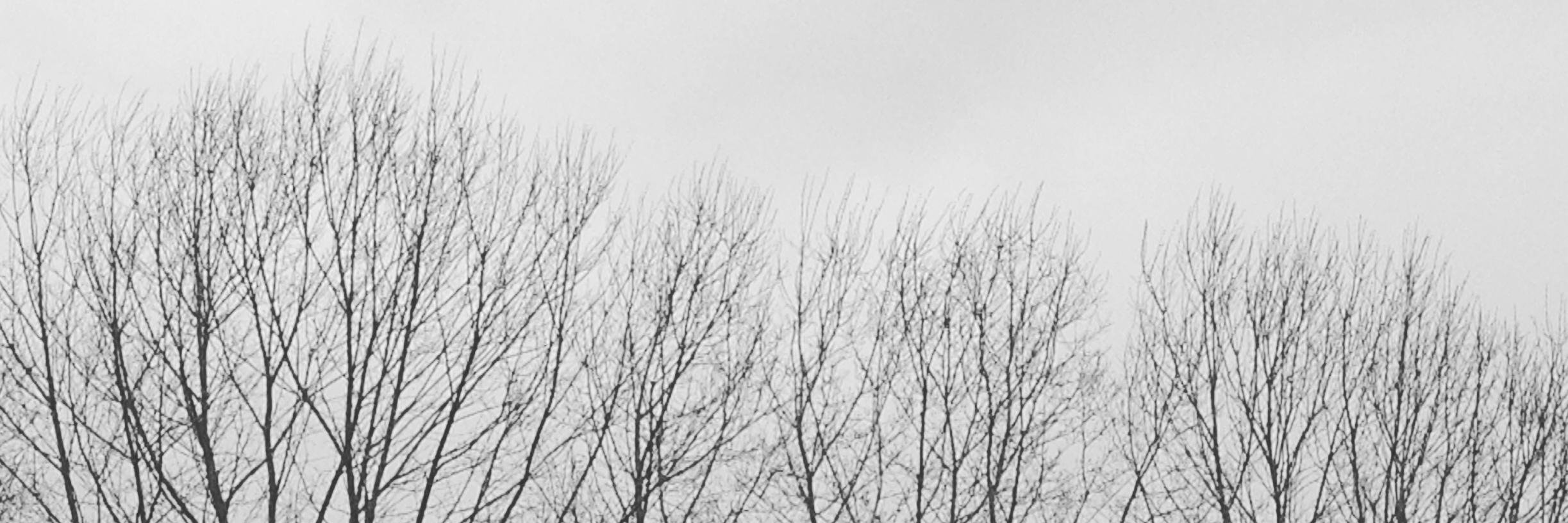 victortato_'s profile banner image