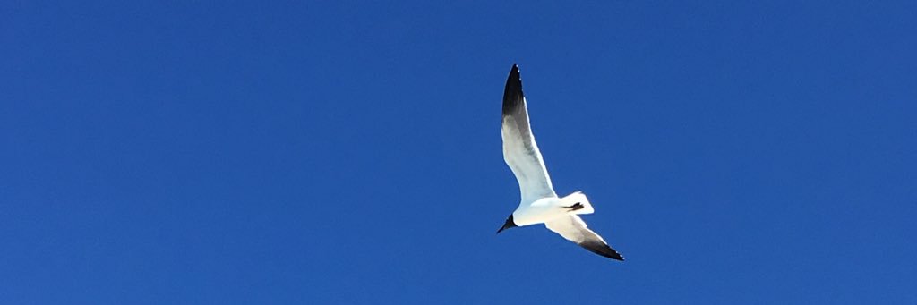 CORREDOOR's profile banner image
