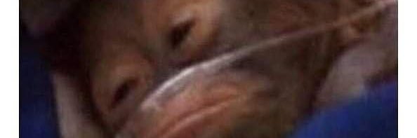 flaggydaggy banner