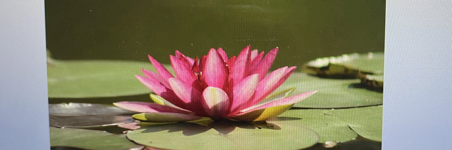 Rhonda_Wheeler's profile banner image