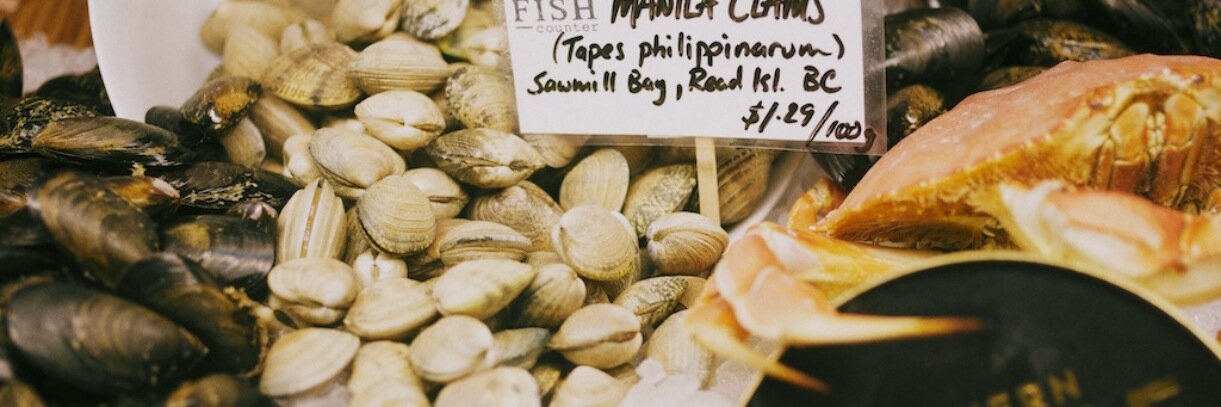 The Fish Counter banner