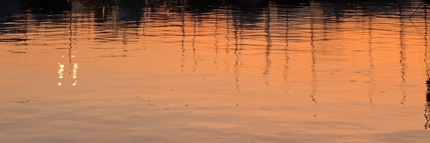 lvgnx's profile banner image