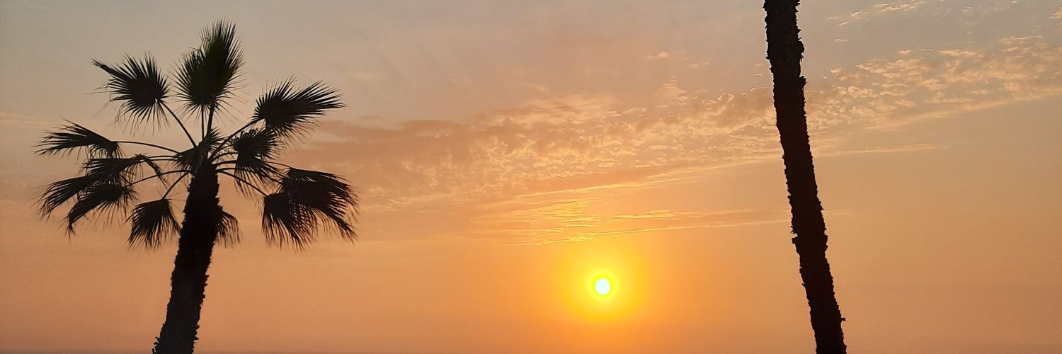 dlu31's profile banner image