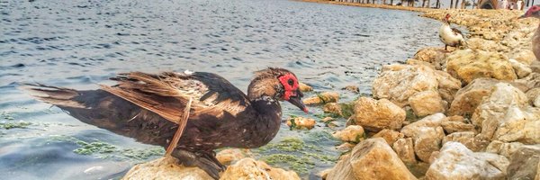 manager212 Profile Banner