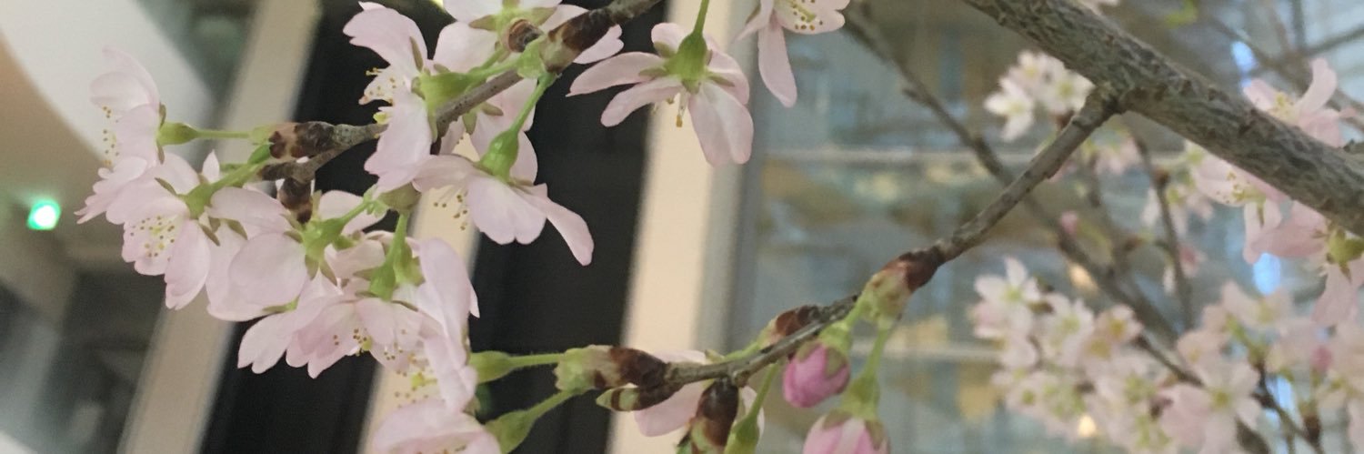 fuminoworld's profile banner image