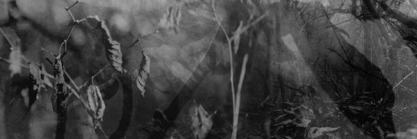 AstraForward Profile Banner