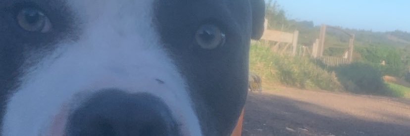 Fingergabriell's profile banner image