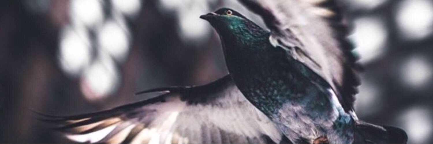 Last_cluster20's profile banner image